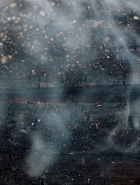 Softening Beard Oil — 20 ml