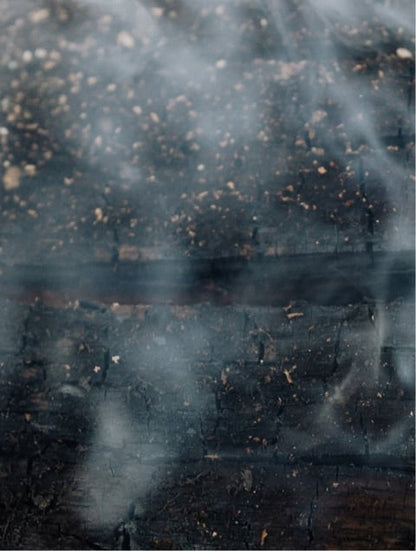 Softening Beard Oil — 20 ml