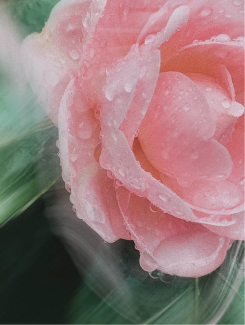 Mineralischer LSF 30 — 150 ml