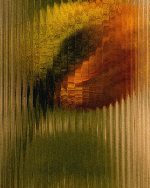 Moisturizing Conditioner—290 ml