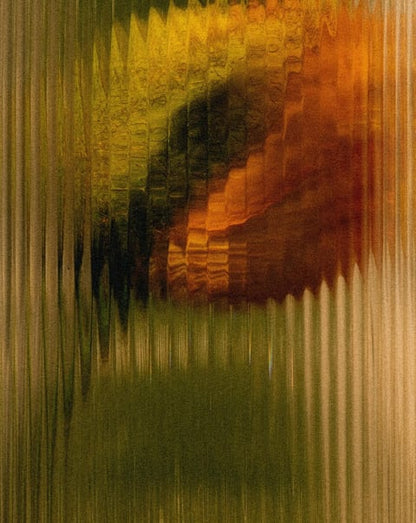 Moisturizing Conditioner—290 ml